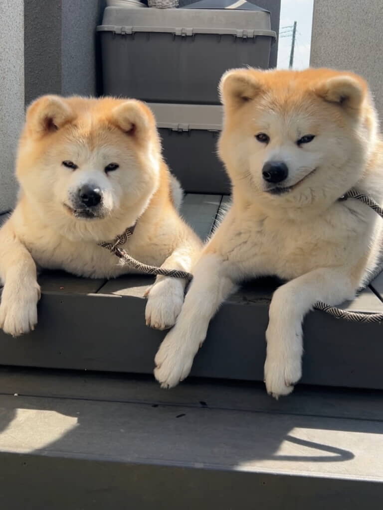 たくさん「かわいい」と言われて不適な笑み