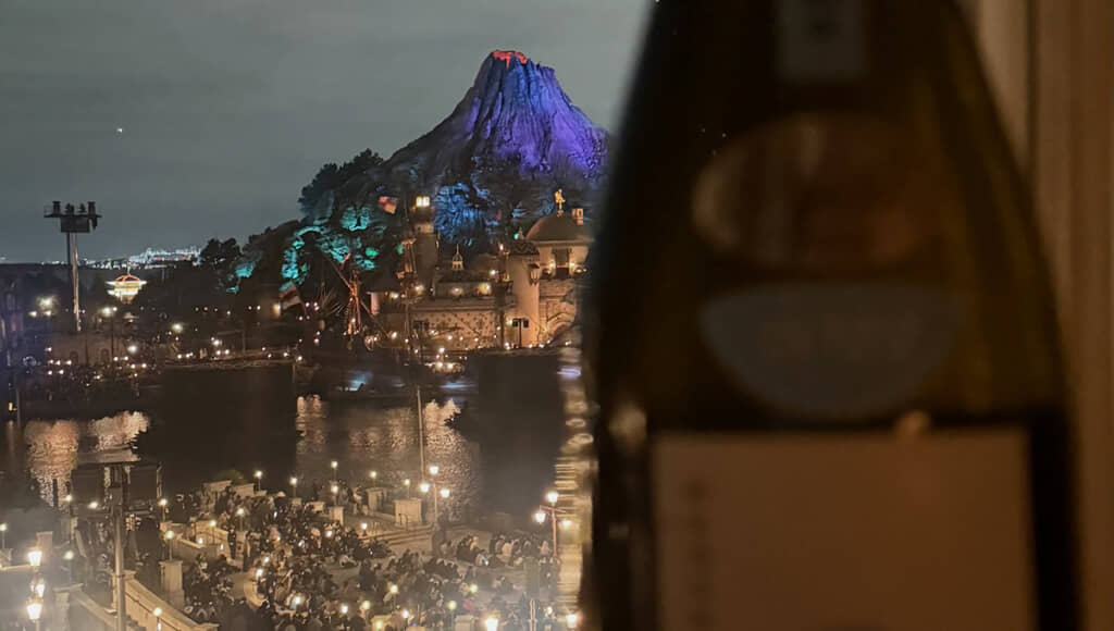 夜景が美しすぎる……