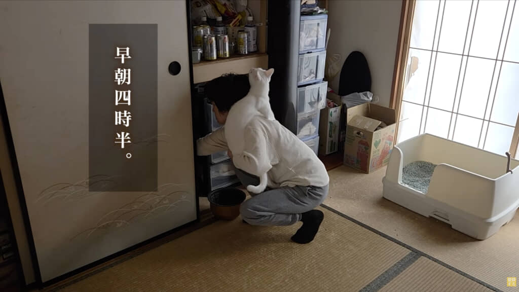 肩に乗ってる……！