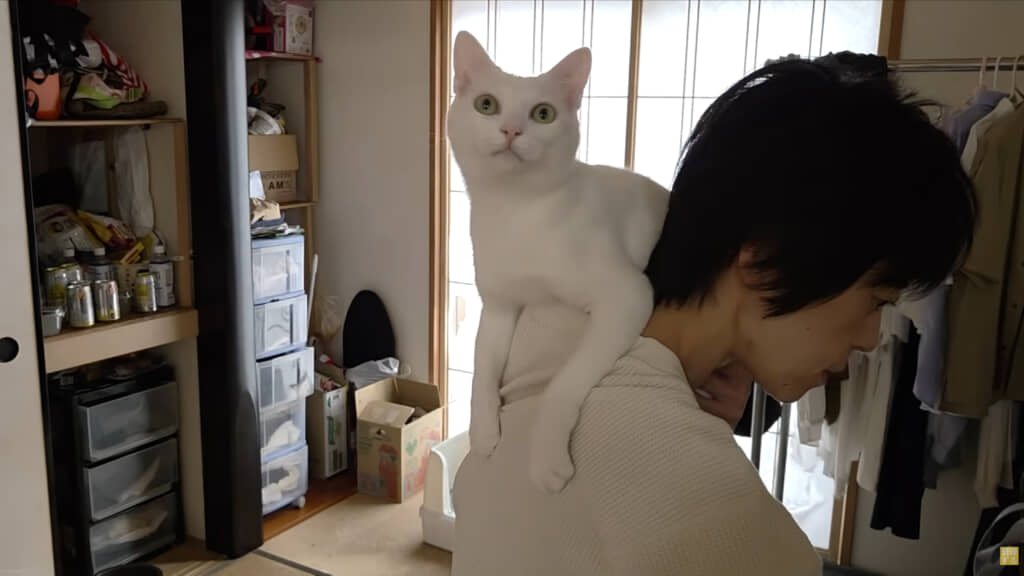 ママさんにべったりなシロくん