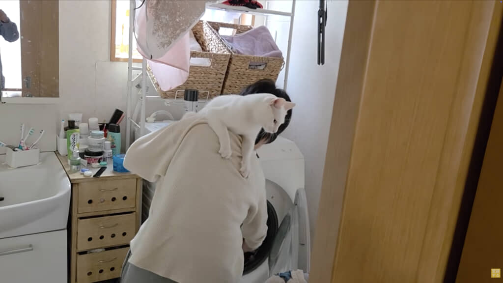 肩に乗っけたまま家事を再開