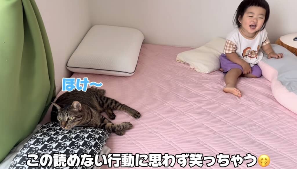 布団にダイブしても気にしないティブくん
