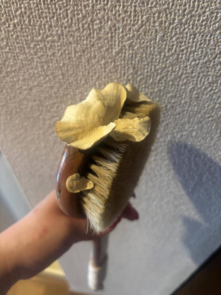 ブラシにヒラヒラしたものが……？