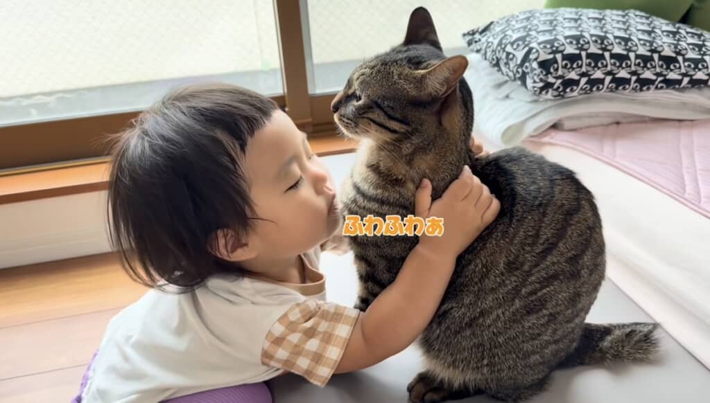 もふもふされても動じないティブくん