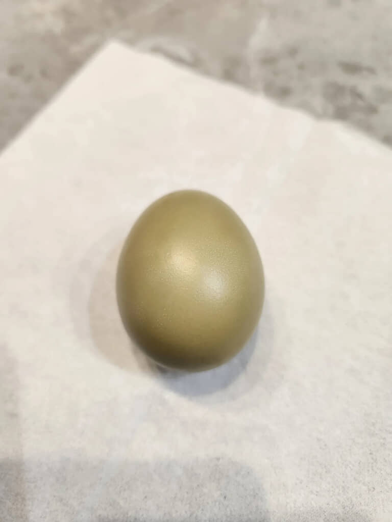 えっ、金の卵……!