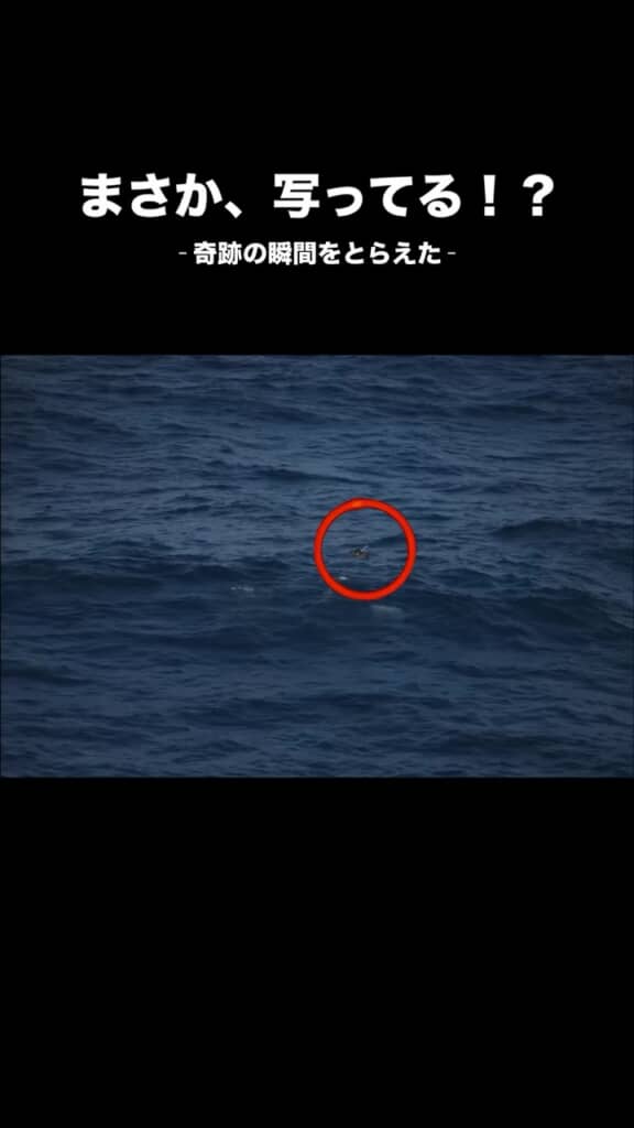 奄美から那覇へ向かう途中の船上で撮影した写真