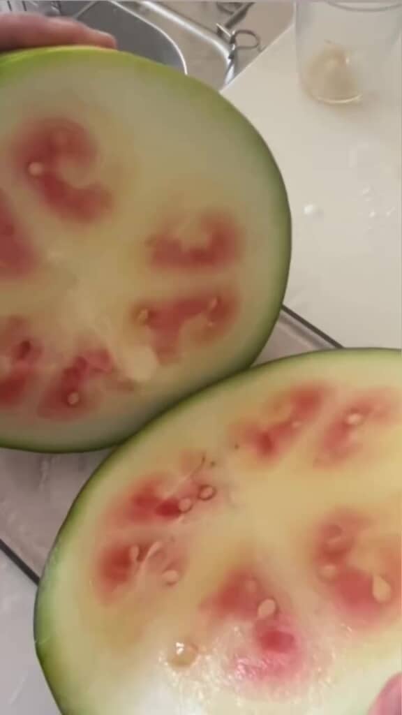まさかの熟れていない