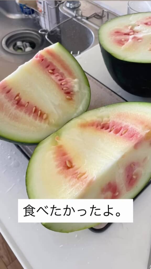 「食べたかったよ」
