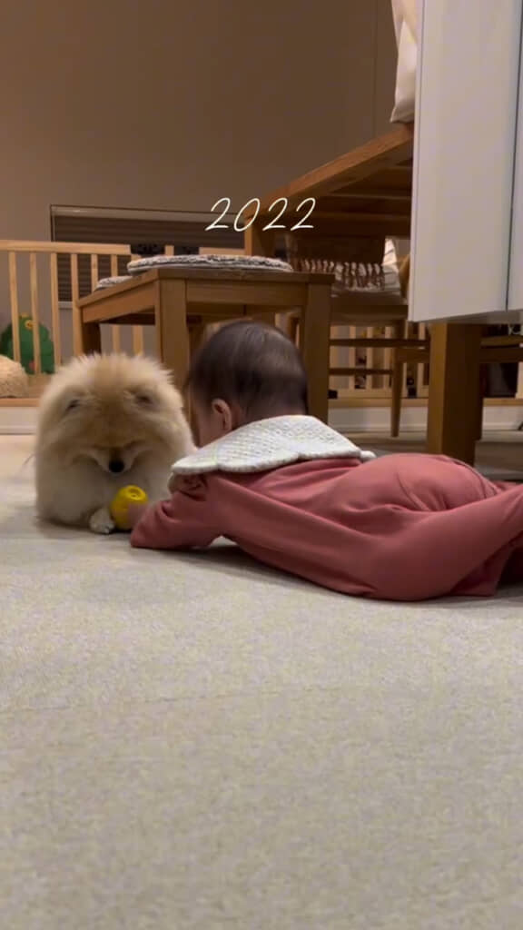 サイズ感、ほぼ同じ