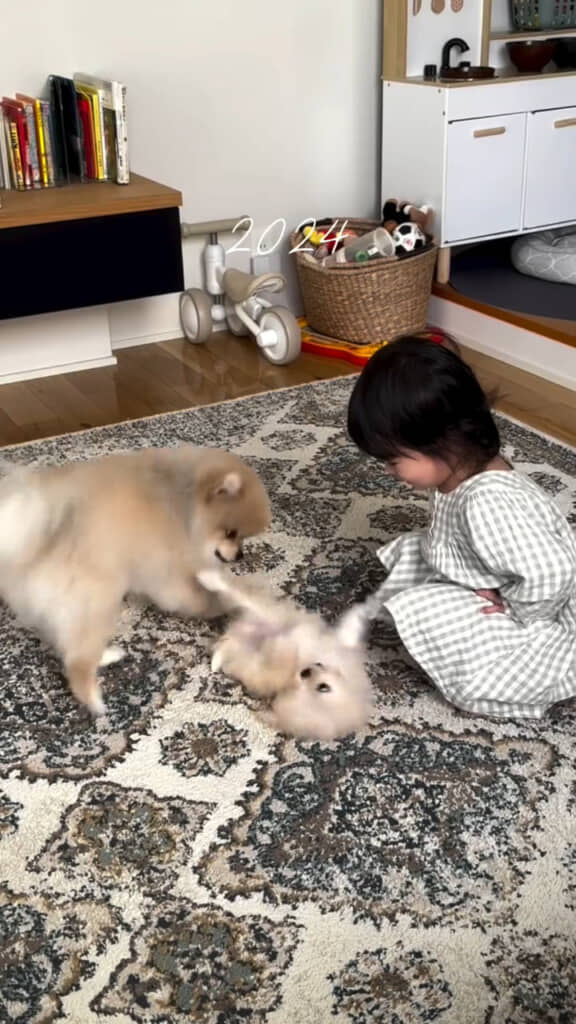 家族が1匹増えました