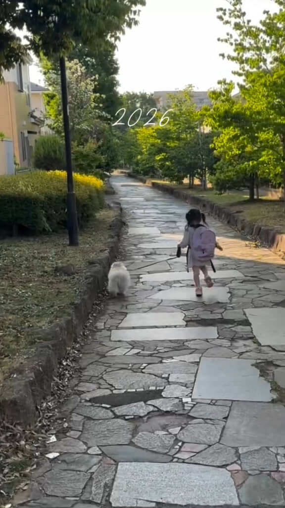 立派にお散歩ができるように