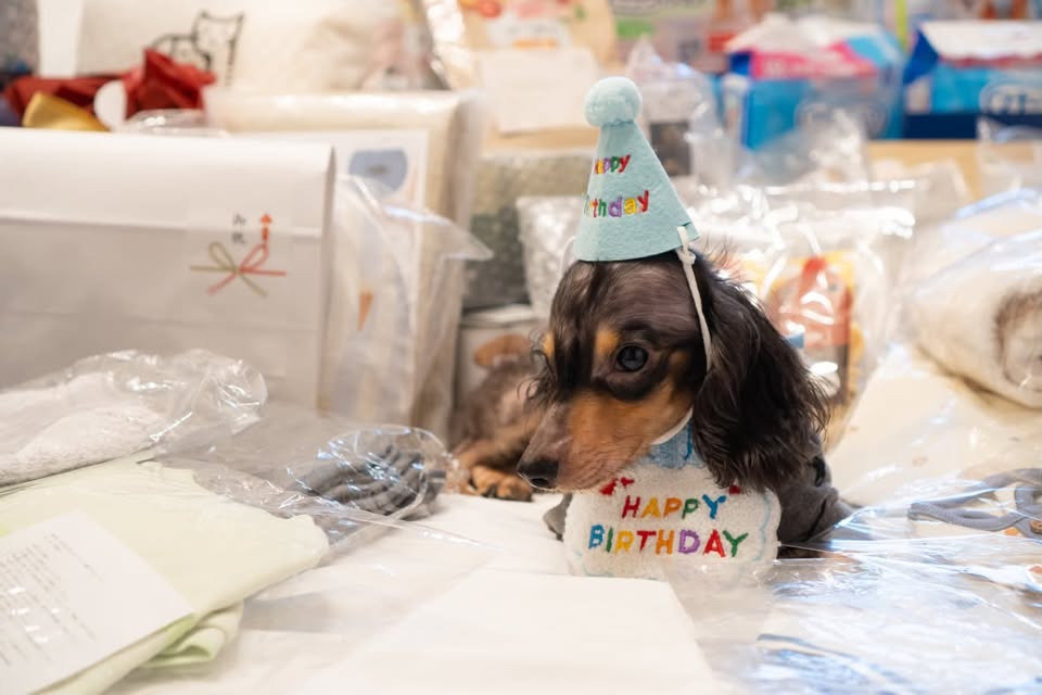 （7/11）4歳の誕生日には、プレゼントに囲まれてうれしそうなテトくん。多くの人から届いた祝福に、家族も感謝の思いを伝えた