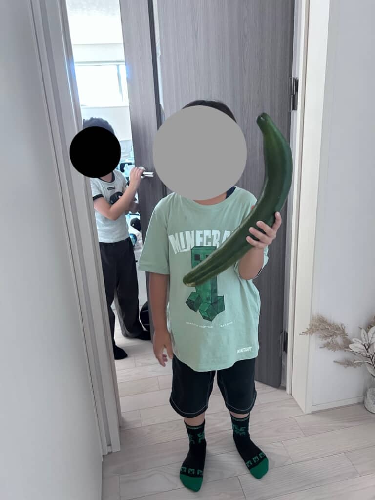 息子くんの頭頂部から胸元まである大きなきゅうり