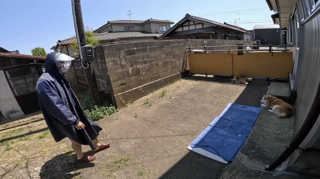 怪しげな人物が現れた……?
