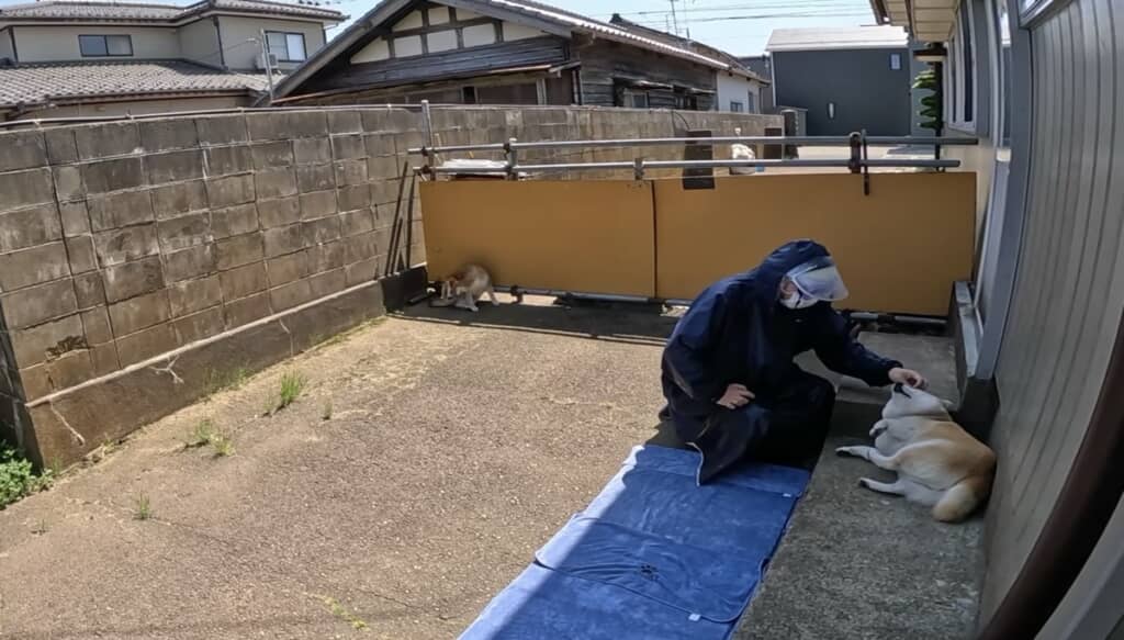 ころんとしてリラックス