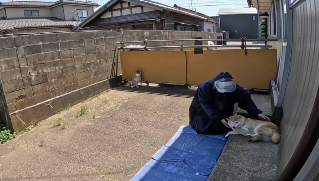 徐々に引き寄せて