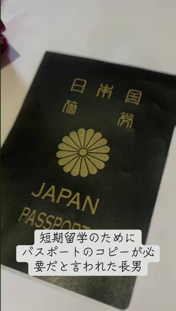 パスポートの現物かと思いきや……