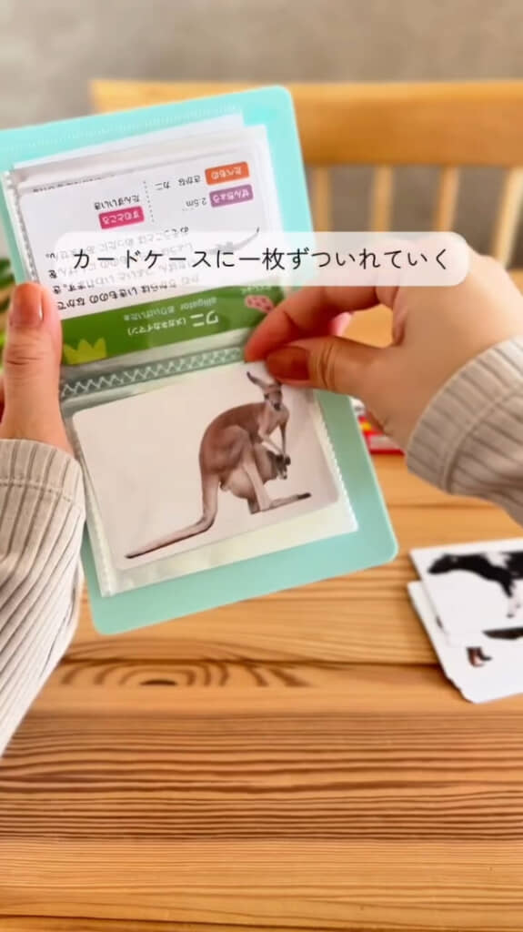 カードファイルのポケットに1枚ずつカードを入れていくだけで完成