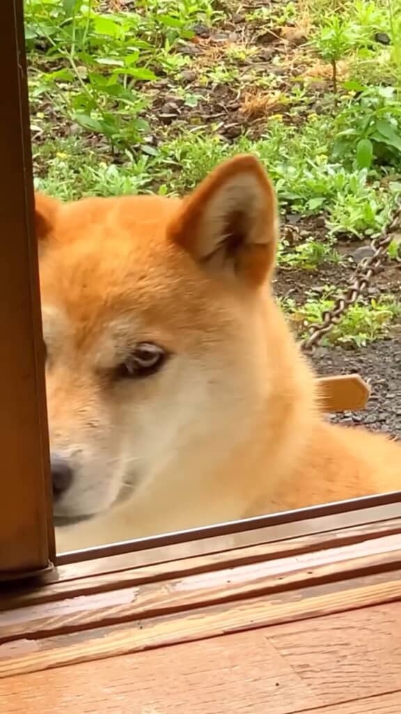 伏し目がちでも二重の線がしっかり見える!