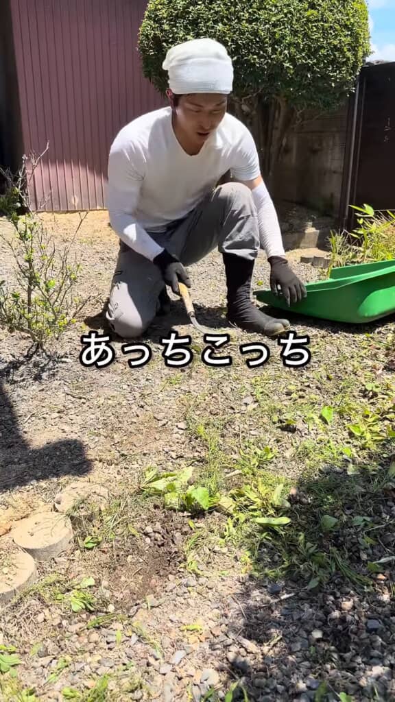 草むしりに関して注意された内容を再現する投稿者