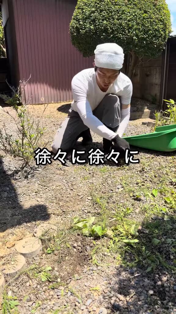 定めた範囲内の草をまずむしり、徐々に面積を拡大