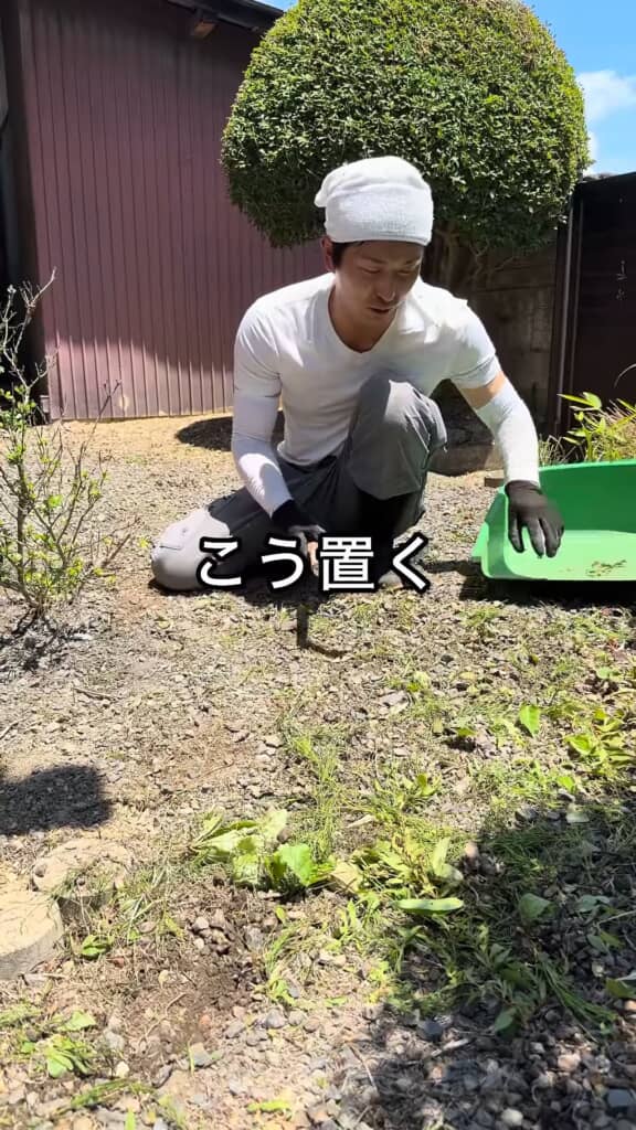 むしった草はその都度、脇に置いてある容器へ捨てる