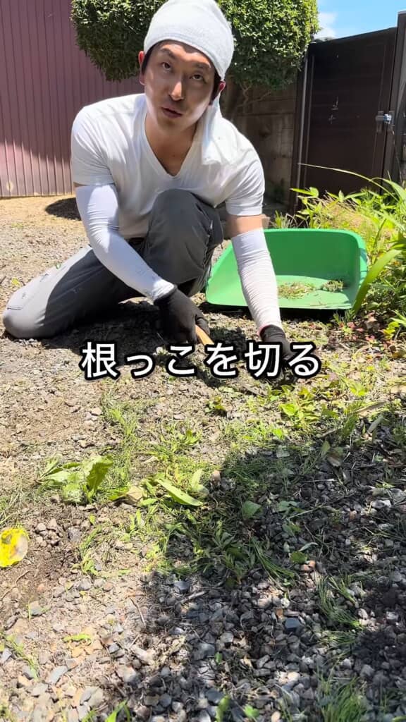 刃の先端を土中に入れて草を根から切る