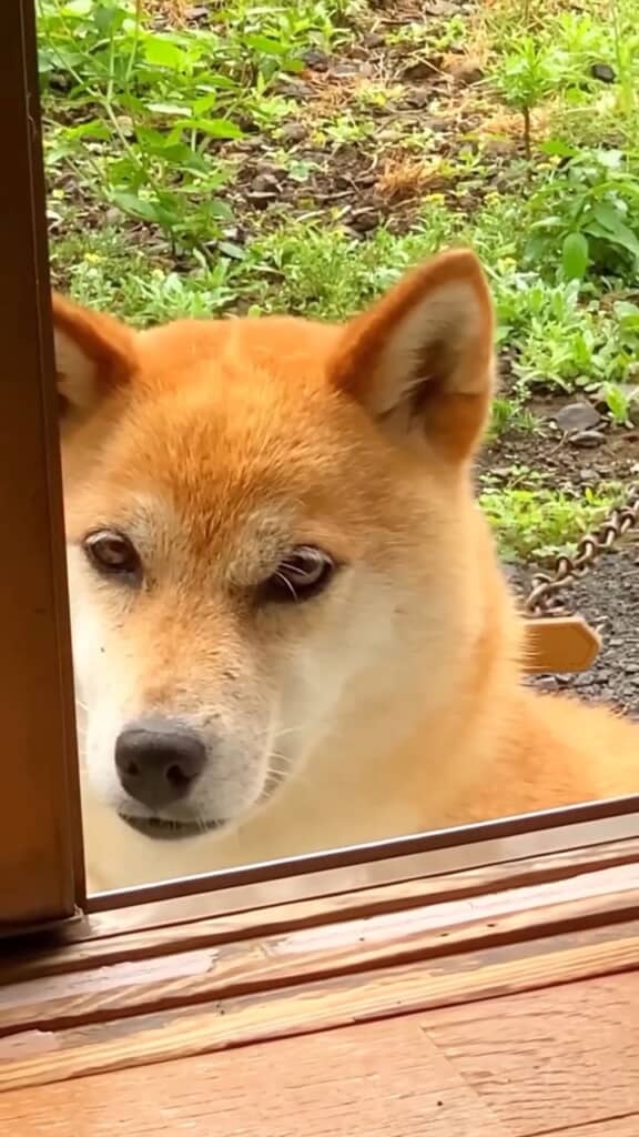 両目ともパッチリ二重