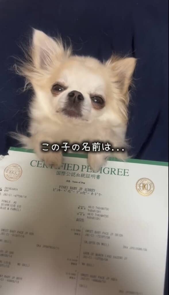 本名を見てみると……