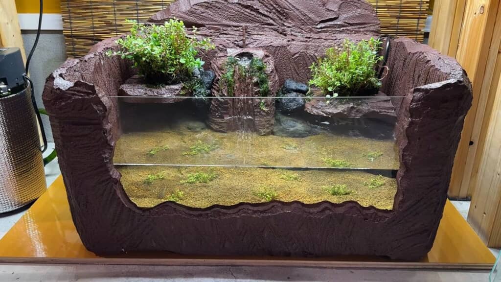 完成した発泡スチロール製ビオトープ