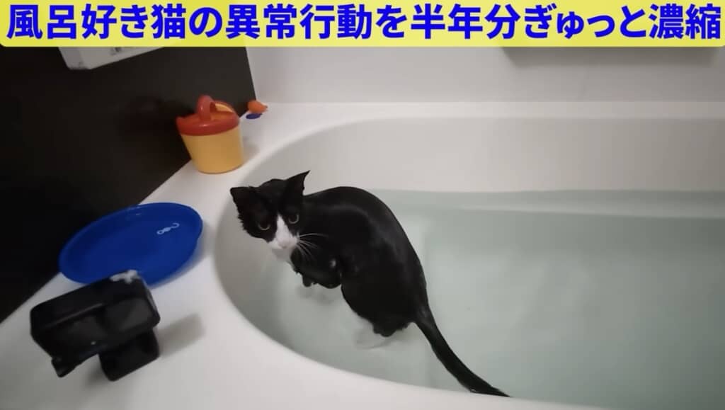 慣れた様子で入浴するハナちゃん