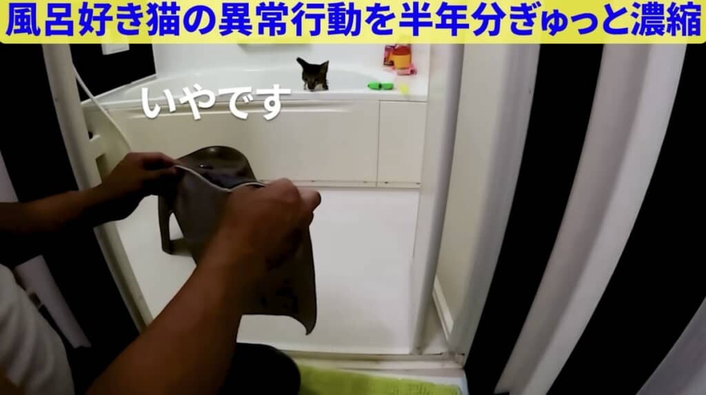 タオルドライしたいタケさんと、まだ入っていたいイルカくん