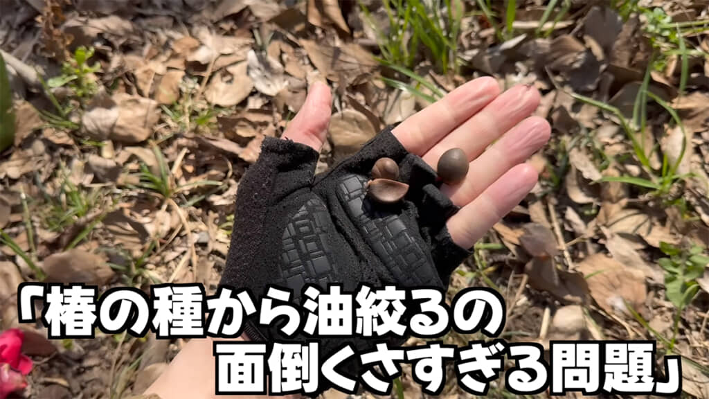 「ツバキの種から油搾るの面倒くさすぎる問題」を解決していきます