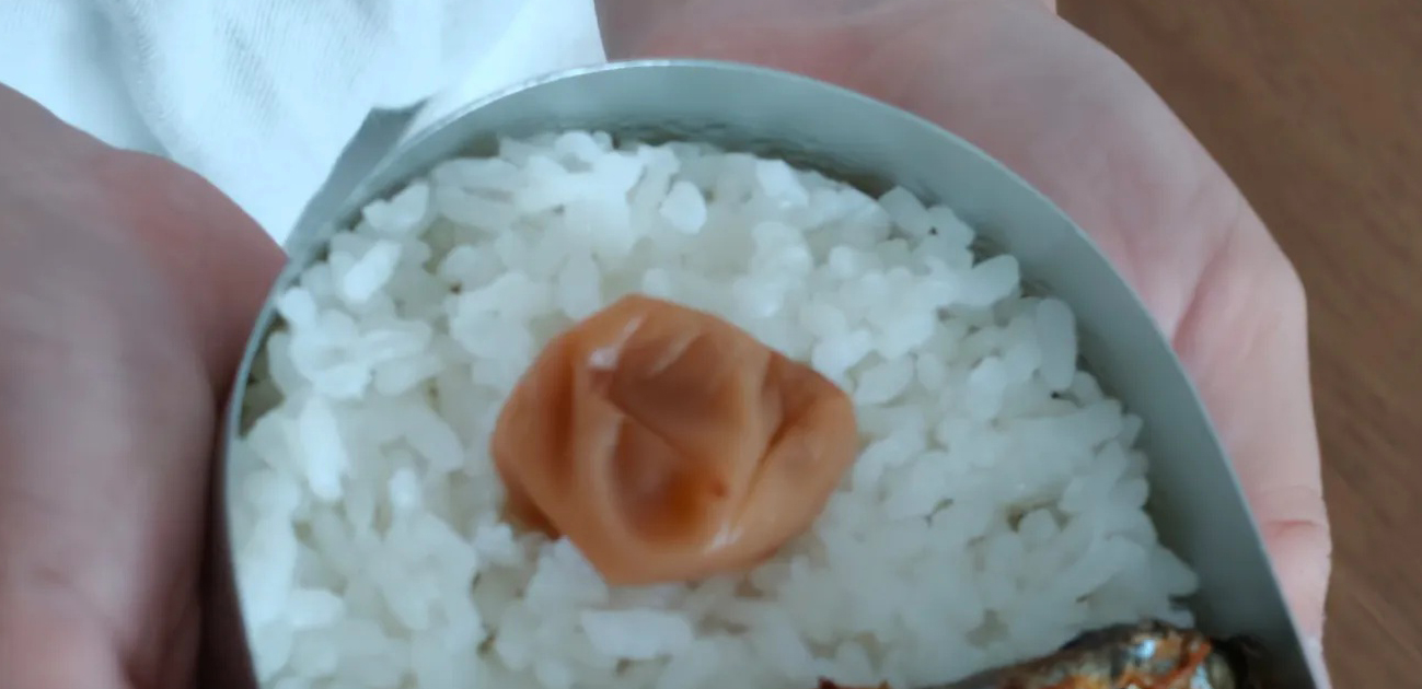 小2息子のために、ズボラママが作った“ジブリ弁当”→開けてみると…… 驚きの中身に「天才!?」「工夫してて愛を感じます」(1/2) | グルメ ねとらぼ