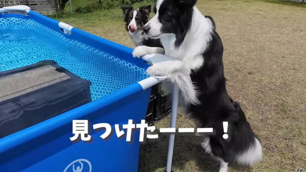 大好きなプールを発見！
