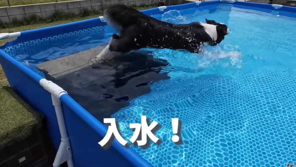 いざ、入水！