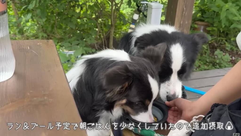 午後はゆったりランチ