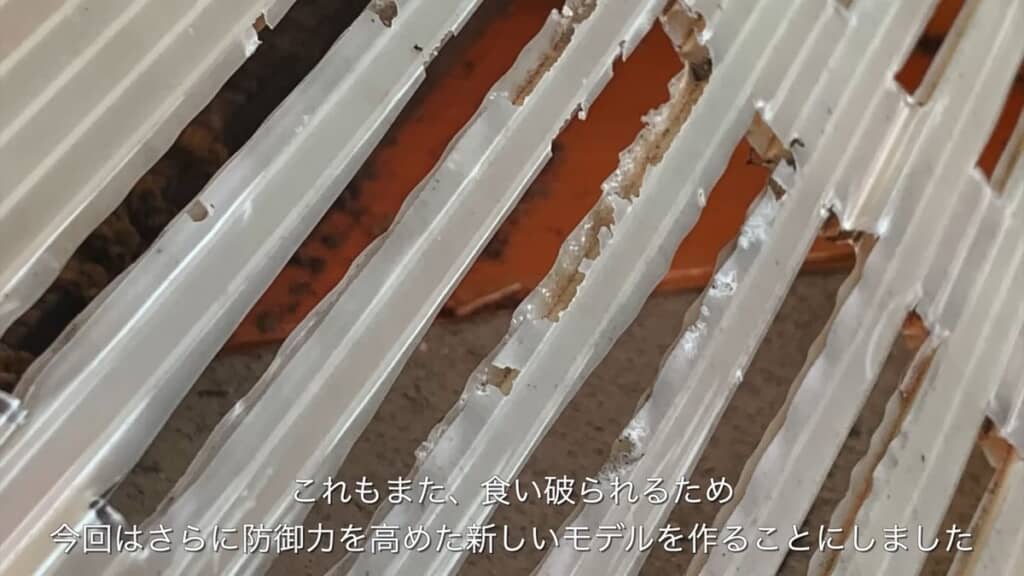 オオスズメバチに食い破られたガードの入口