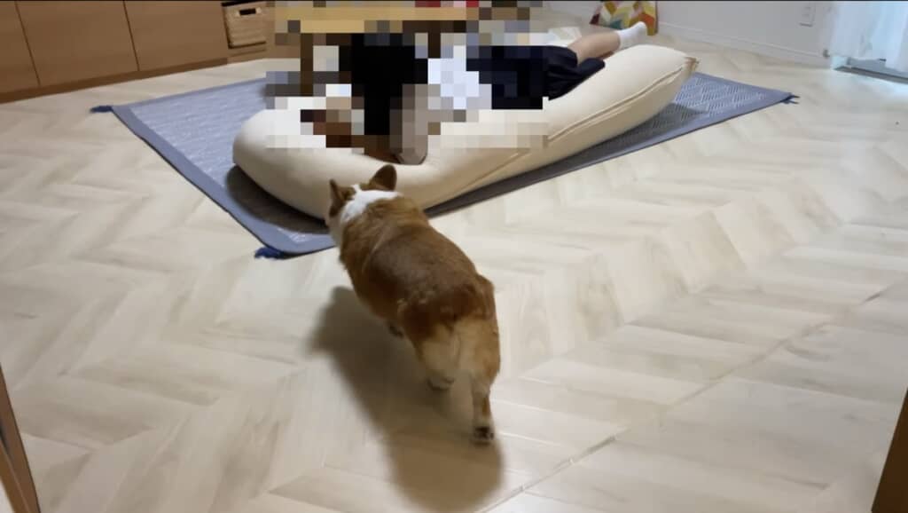 すぐにお姉ちゃんのもとへ