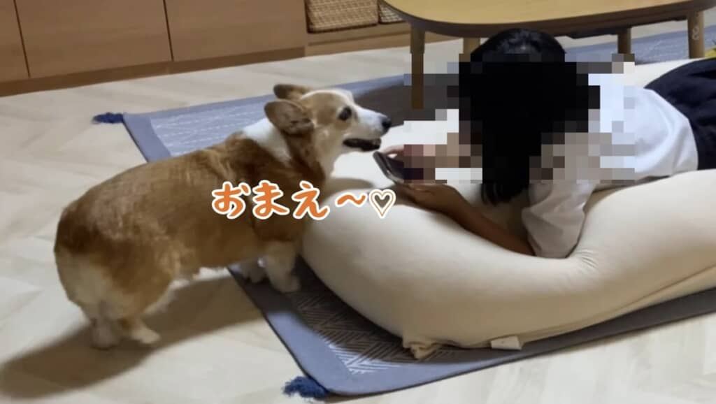 ニコニコ笑顔がかわいすぎる