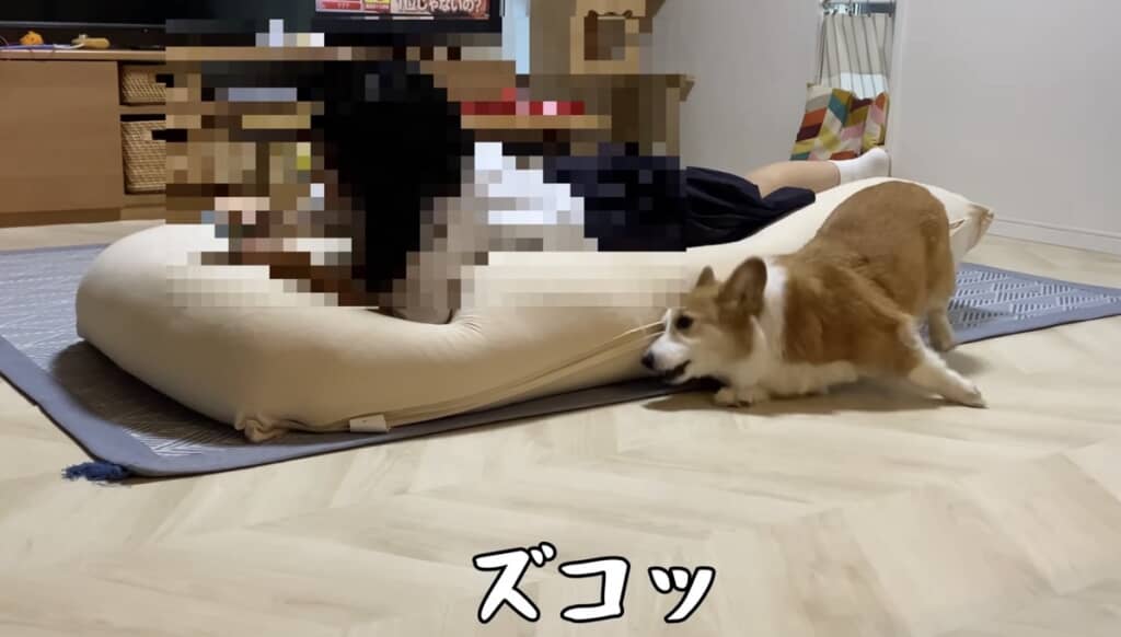 テンション上がりすぎてズコッ