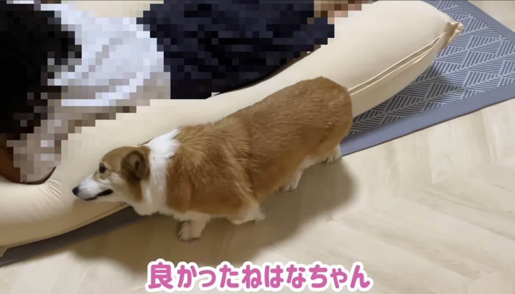 うれしくて仕方ないんだねっ