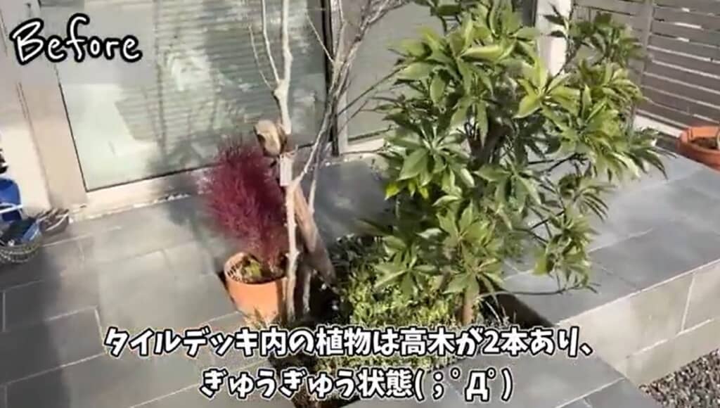 背の高い木が2本植わっていたタイルデッキ