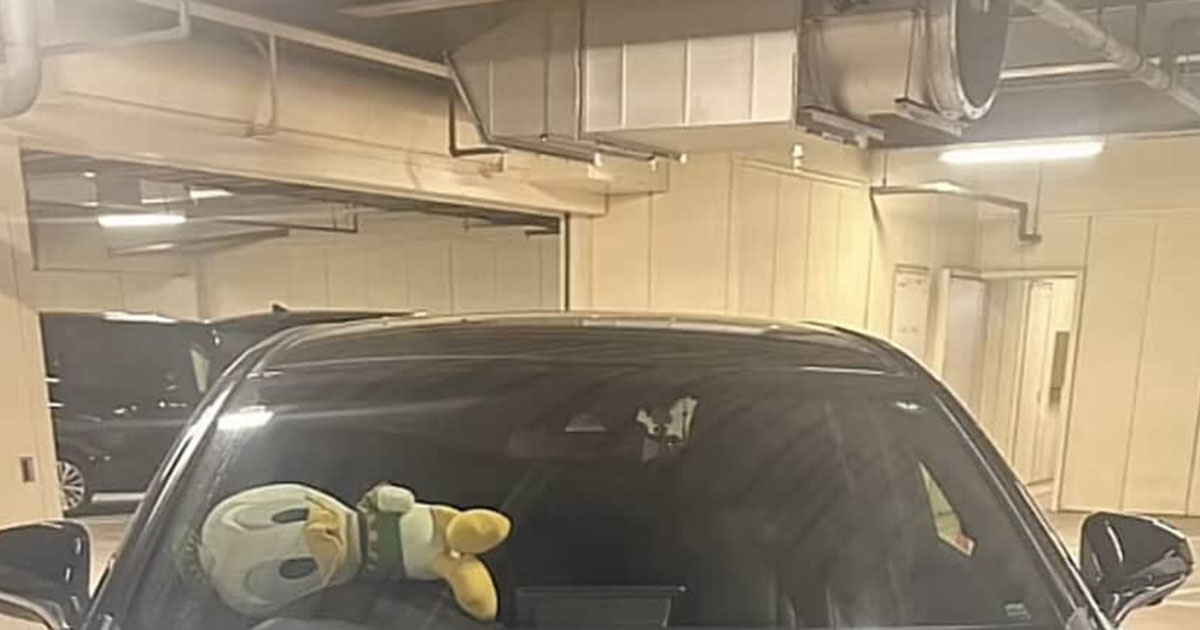 ディズニーの駐車場に戻ったら「駐禁か、、??」→よく見ると…… 驚きの光景が240万再生「ホント粋なことするよなー!」「夢の国さすが」(1/2) | ディズニー ねとらぼ
