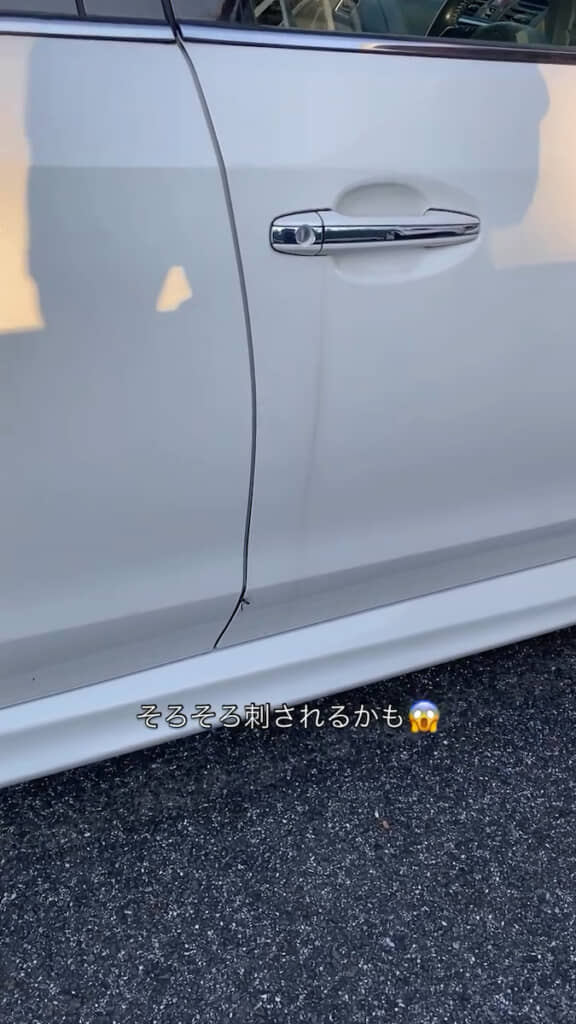 ドアの隙間から巣に戻っていくハチ