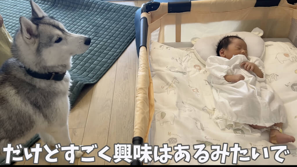 興味津々といった様子