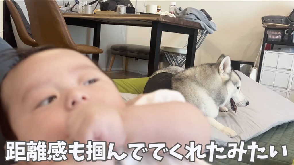 距離感を掴んでくれたようです