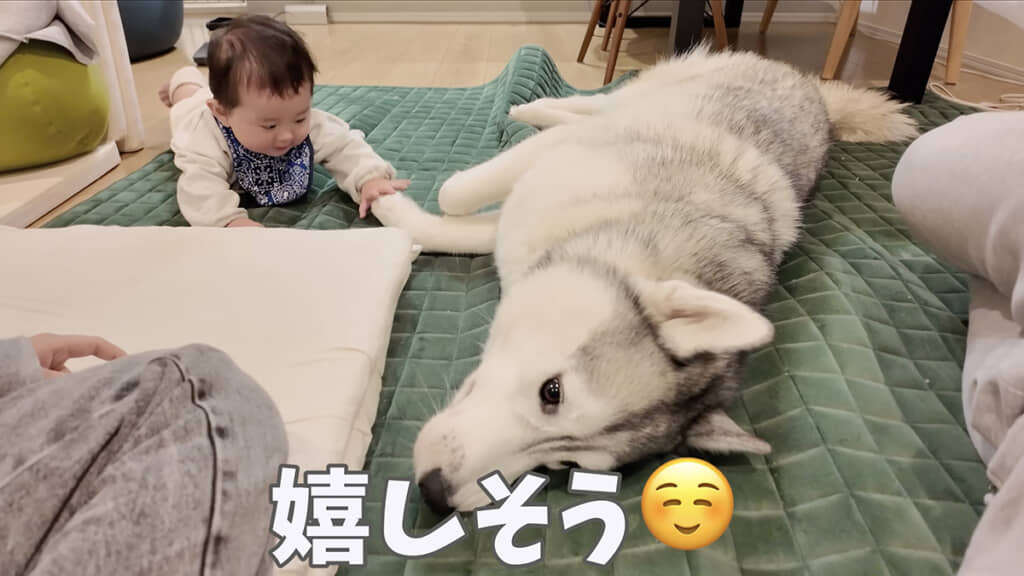 どちらもうれしそう