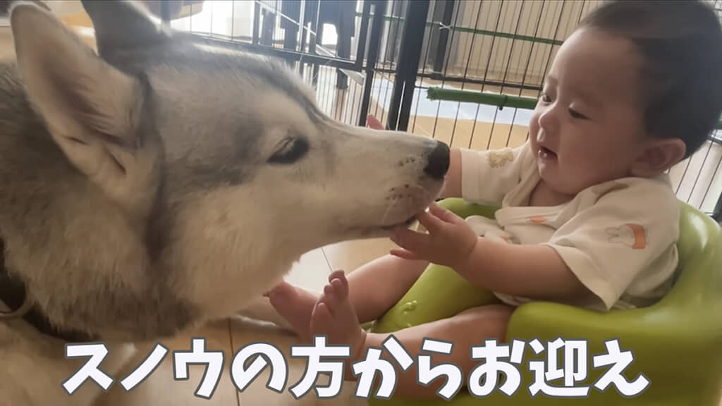 手を伸ばすと来てくれるようになりました
