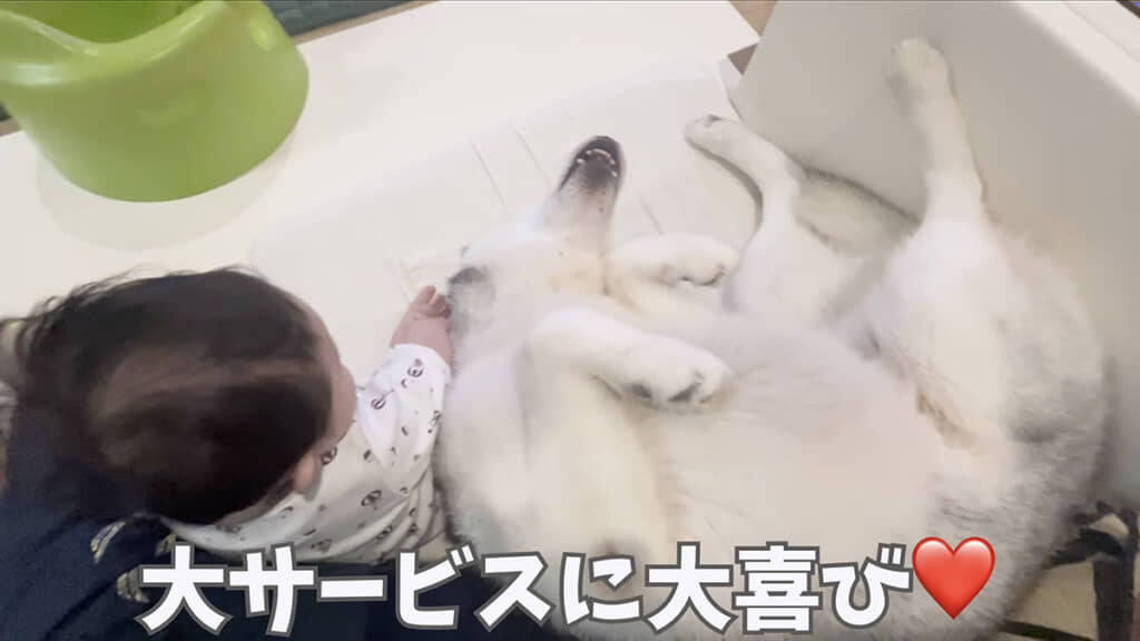 思いっきり甘えています